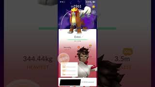 Shadow Entei Raid Day! #pokemon #pokemongo #pokemonraiding #shinypokemon #shinyhunting