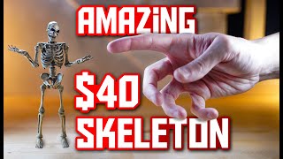 This new Skeleton Figure is incredible! and Only $40??  Shooting & Reviewing