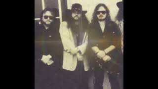 Lynyrd Skynyrd-Sweet Home Alabama (Acoustic) The Loop-1993