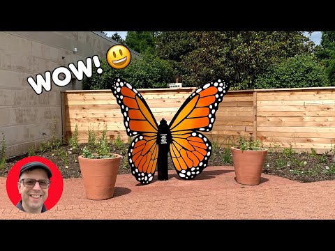 Video: The Butterfly House in Faust Park in St. Louis