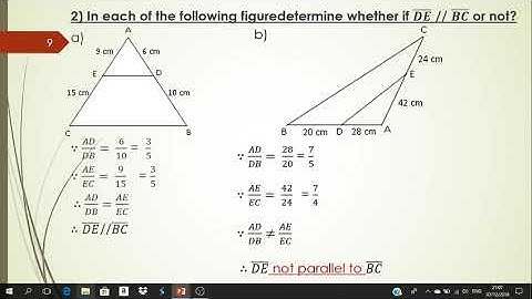 Parallel lines and proportional parts 1st secondary geometry 1st term
