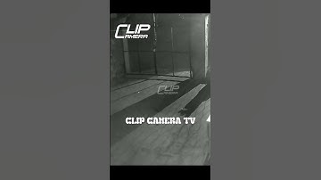 "C-hó Tặ-c" Rất Ma-nh Độ-ng Và Dứt Khoát #youtubeshorts #ytshorts #shortvideo #shorts #funny #music