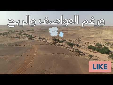 أغنية قلبي على بلادي تحية فخر ووفاء للمغرب الحبيب