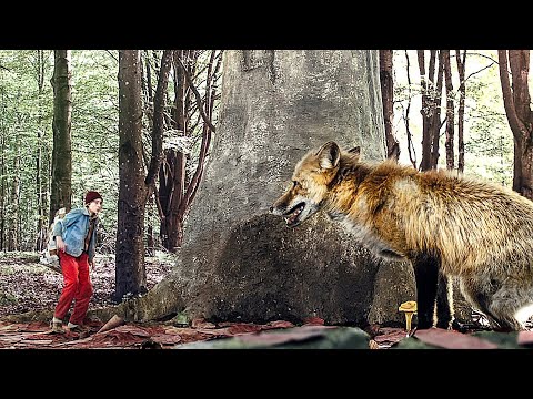 Nils au Pays des Animaux Merveilleux | Film Complet en Français | Famille