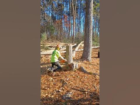 Jobs Hiring In Taylorsville Nc