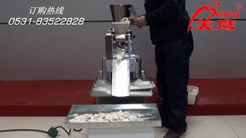 JGL120 Dumpling/samosa/ spring roll/ wonton  making machine