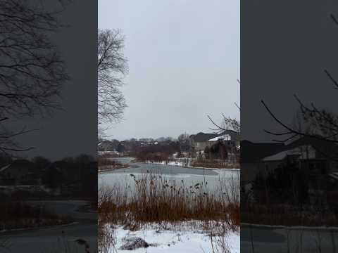 إلى ربي وليس إلى سواه مددت يدي مرتجيا رضاه كريـم لا يـرد سـؤال عبـد وما منع العطية من رجاه