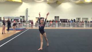 flames floor L9 kellerman sage