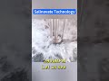 High Speed Mixer High Shear Homogenizer Mixer