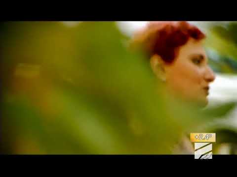 საოჯახო დავები