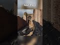COD Black Ops 6 : AEK-973 RELOAD #callofduty #blackops6 #showcase #gaming #reloadBO6
