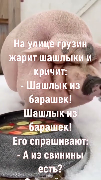 Такой свинья был... - YouTube