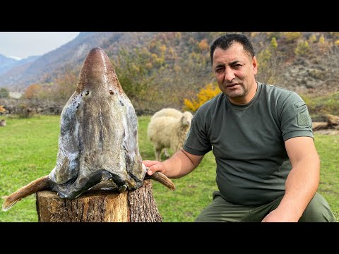 فيديو: كيف لطهي حساء السمك في الطبيعة