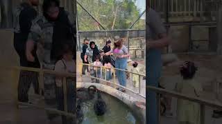 Animal Lovers should visit this zoo @multi.zoo in B17 Islamabad 📸❤️ #kainaatbaloch #faisalhills