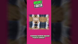 fakta dari kejatuhan kotoran burung!apa cuman mitos?  #faktamenarik #faktahewan #faktaunik #fakt@