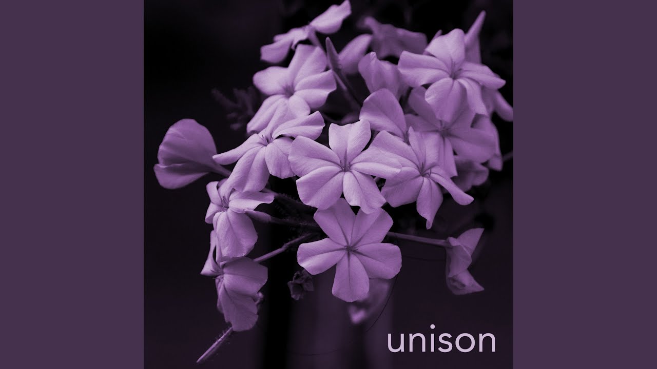 Unison