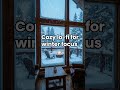 Winter Café Lo-Fi ❄️ | Calm Beats to Focus