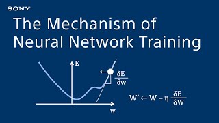 Introduction to Deep Learning : The Mechanism of Neural Network Training
