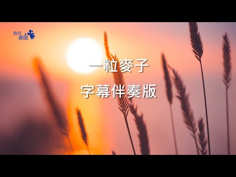 一粒麦子 伴奏 中英文字幕 拼音 合并版