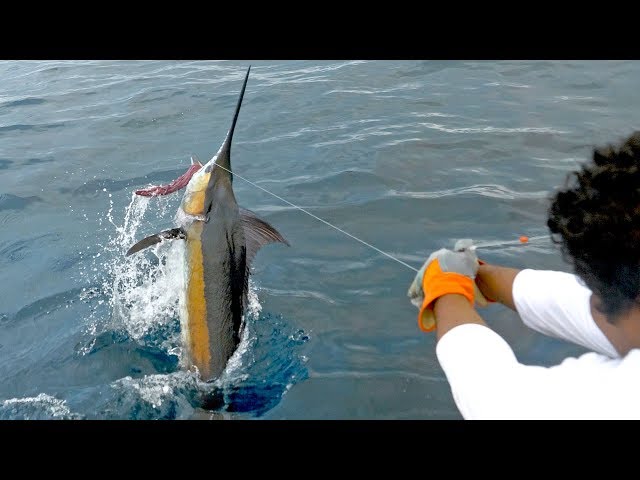 EPIC Blue Marlin Fishing in Costa Rica 