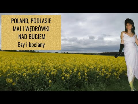 POLAND, PODLASIE. MAJ I WĘDRÓWKI nad rzeką BUG. Bzy i bociany. Od Wólki ...