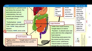 science worksheet 21 class 7(11/12/20)English medium/class 7 worksheet science21/science worksheet21