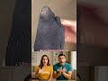 A Hole I Didn T See It Viral Funny Popular A Hole I Didn T See It Viral Funny Popular