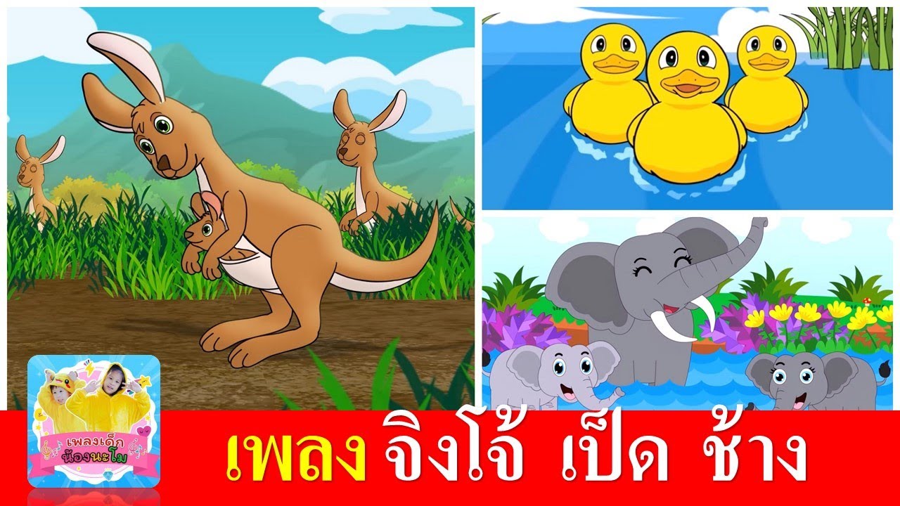 เพลงเด็กอนุบาล จิงโจ้ เป็ด ช้าง | จิงโจ้กระโดดดึ๋งดึ๋ง | เป็ดอาบน้ำในคลอง | ช้างช้างช้าง