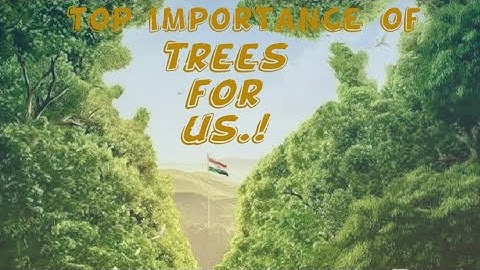 Why Trees are Really Important of Us || #shorts #SaveTree #PlantTree