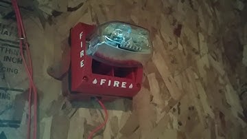 fire alarm System test 7. Gentex and system sensor. #SystemTestSaturday (read description)