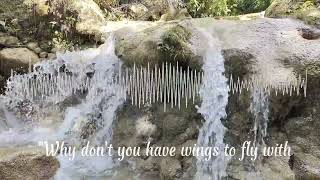 Download Lagu Joan Baez - Donna-Donna By Sita Nursanti (lyrics) MP3 Download Lagu Joan Baez - Donna-Donna By Sita Nursanti (lyrics) MP3