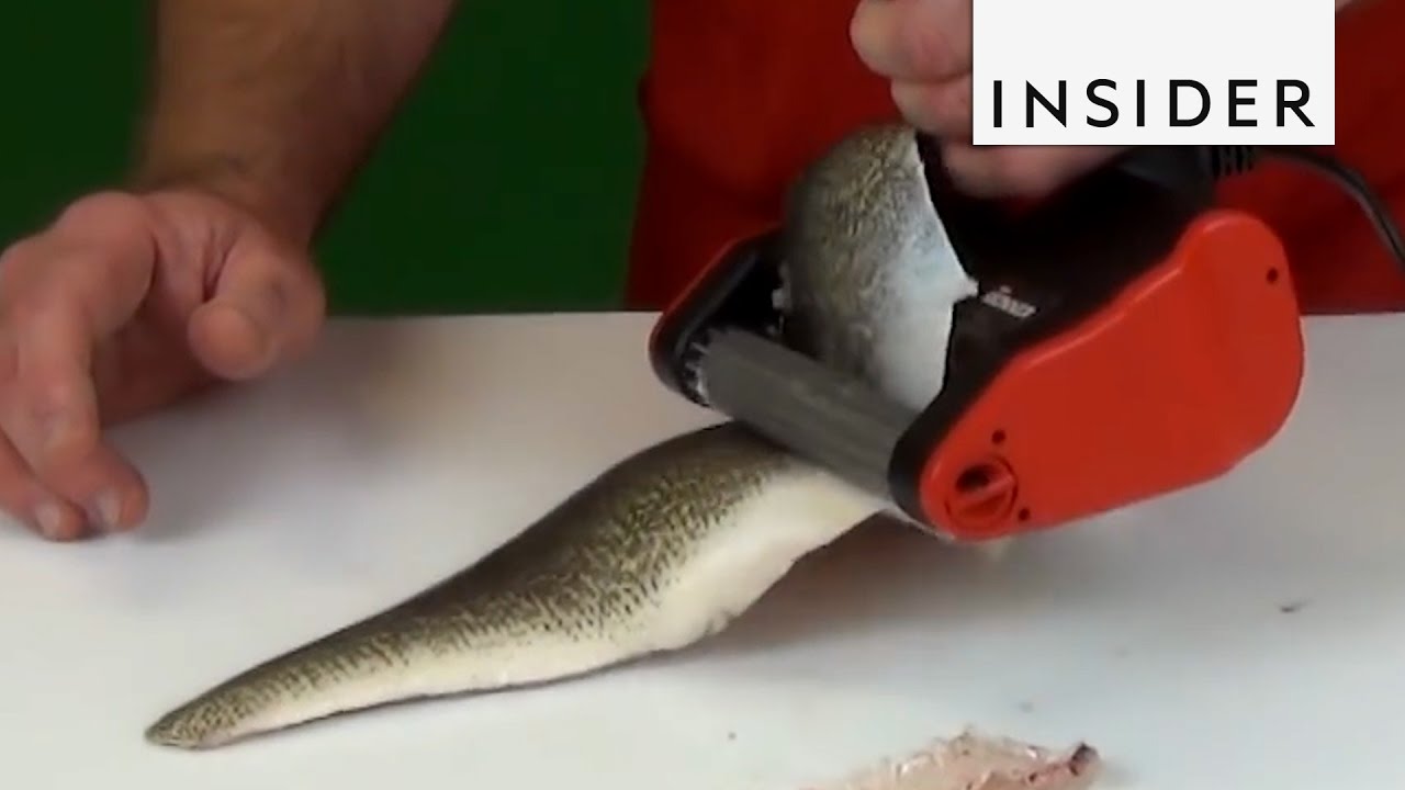 Easy Fish Skinner Tool 