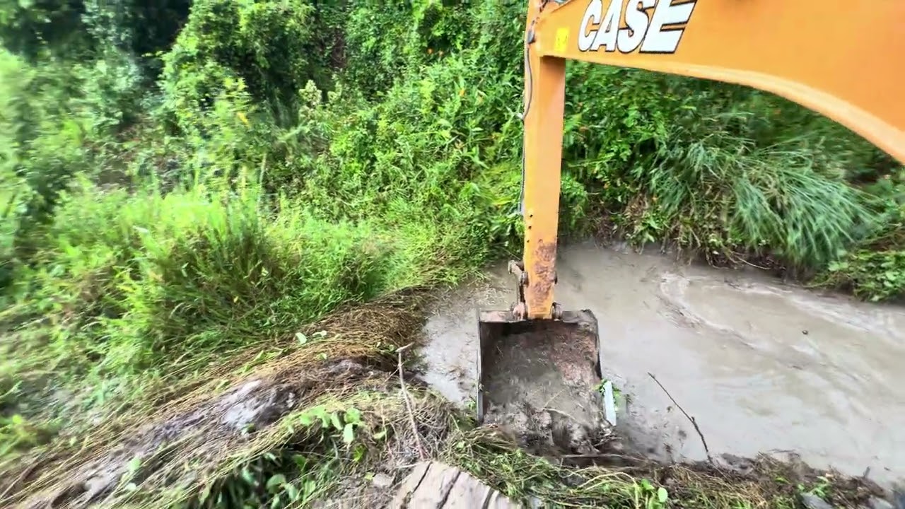 ATAQUE DE ABELHA 🐝 no Meio da Limpeza da Valeta! escavadeira hidráulica