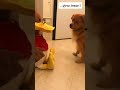 When you both remember you left the snacks at home… 🍖🍿😱 #pet #funny #dog #foryou #asmr #shorts