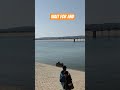 😂 wait for And 🥺 #shorts #explore #youtubeshorts #shortsfeed