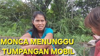 Download Lagu MONCA GADIS PUNAN MENUNGGU TUMPANGAN MOBIL DI JALAN MAU PERGI JUAL GETA DAMAR HASIL DARI HUTAN MP3