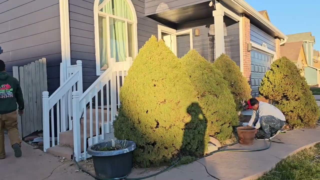 Best painters in Colorado Springs