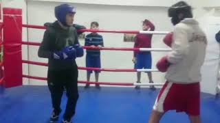 Maşallah Benim Paşama