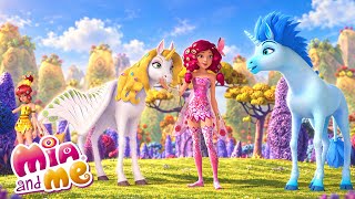 WOW! Onchao is surprised! 🦄 - ULTIMATE COMPILATION! - Mia and me 🦄🌈