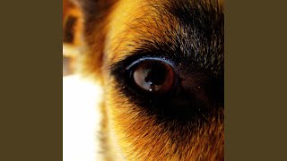 Download lagu jukaī (seâ of trëes)