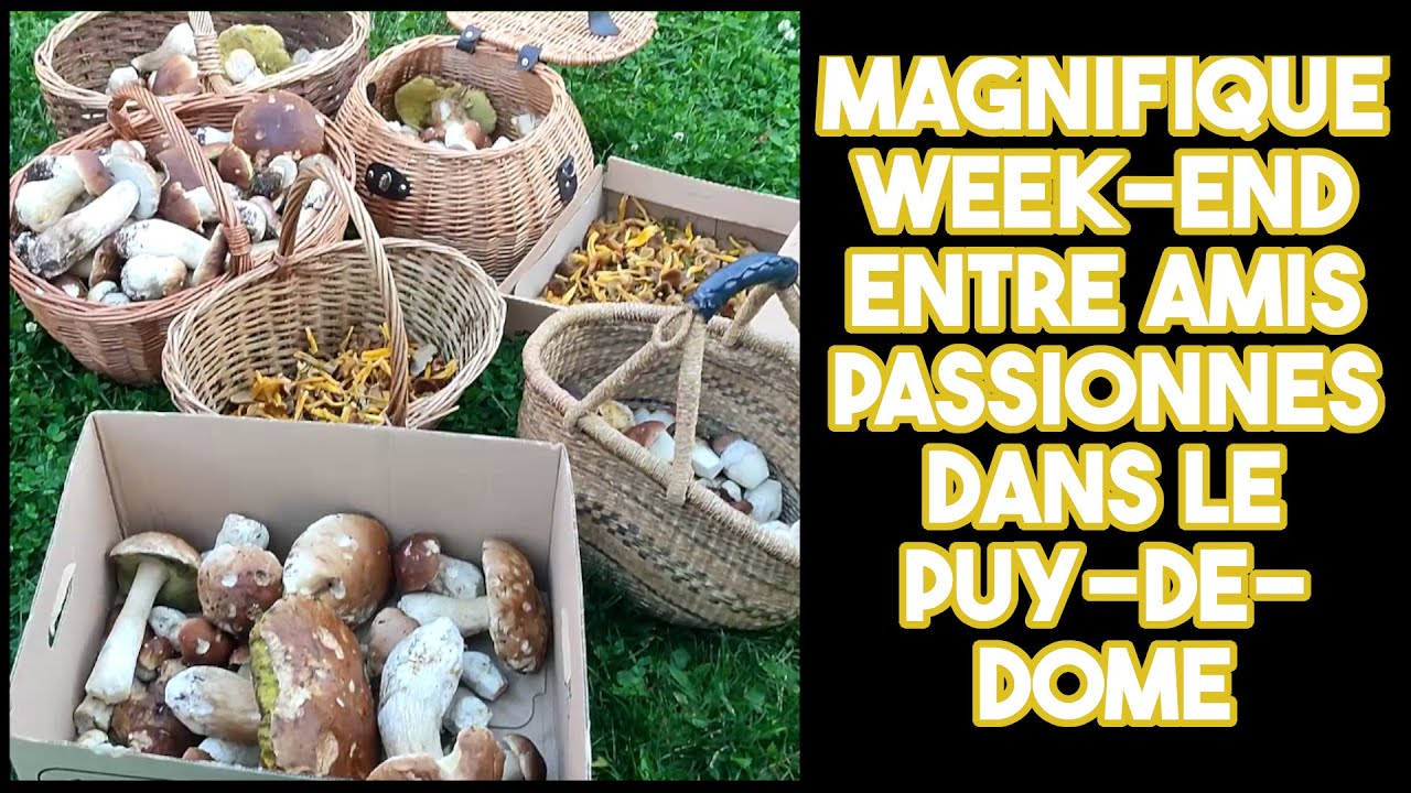 Magnifique week-end entre amis passionnés dans le PUY-DE-DÔME