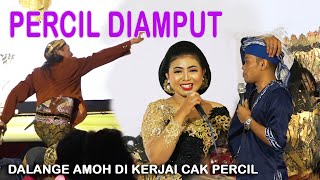 PERCIL CS TERBAU 2022 LUCUNE RA BETAH