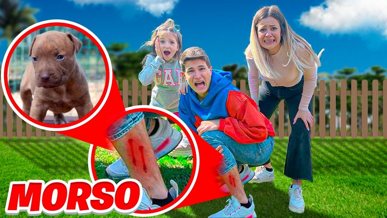 IL NOSTRO NUOVO CUCCIOLO DI CANE ROCKY HA MORSO MATTI ALLA GAMBA E SI FA MALE!