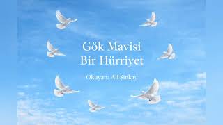 Gök Mavisi Bir Hürriyet | Şiir | Okuyan: Ali Sinkay