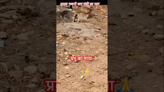 प्रभु का माया 🙏 #video #dharmik #youtube #trendingvideo #yadav40alok #status #viral