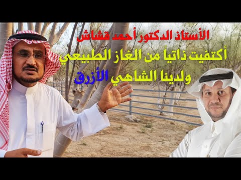 لقاء مع الأستاذ الدكتور قشاش -( اكتفيت من الغاز الطبيعي من عدة أعوام)