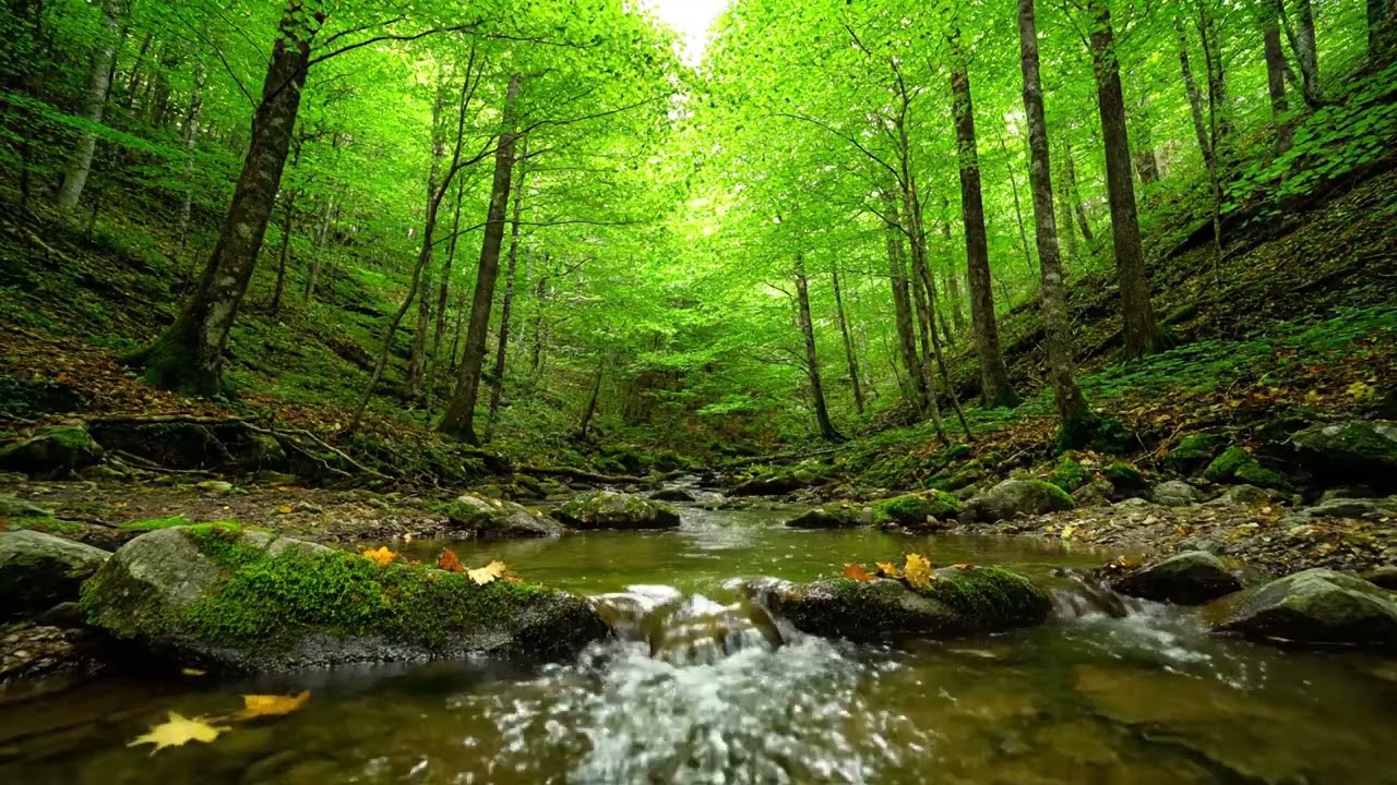 8 HOURS: Melt Away Stress & Anxiety 🌧️ | Cozy Rain Lofi for Instant Calm & Deep Sleep