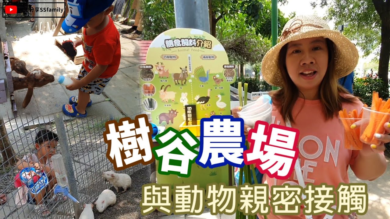 【景點】台南 樹谷農場 親子景點 與動物近距離接觸 餵食小動物 小型動物園 | 宇你分享 SS family