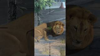 lion hunting for android #sniper #animals #lion #hunting #viralshort #viralvideo #shorts #shortfeed screenshot 2