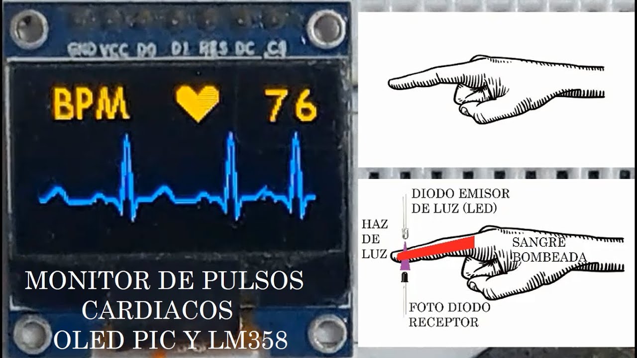MONITOR DE PULSOS CARDIACOS | OLED PIC Y LM358 - YouTube